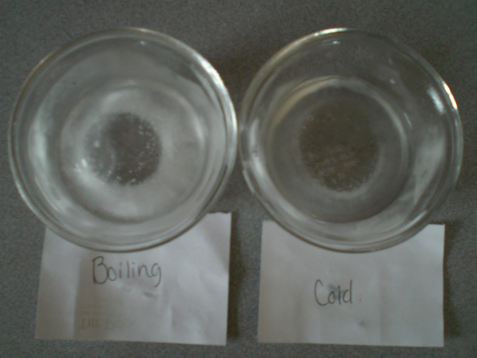 Visualizing Chemistry Activity 1