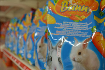 Rabbit Food Briter Bunny RM8.30