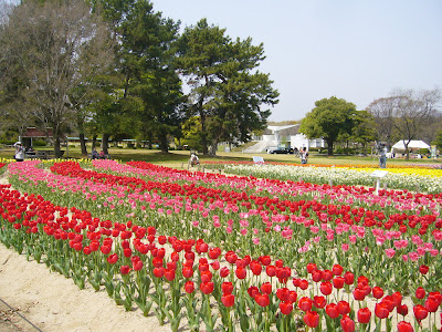 万博公園・チューリップフェスタ