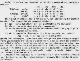 Bilinmeyenin Otesinde Gunes Dil Teorisi Ve Ataturk