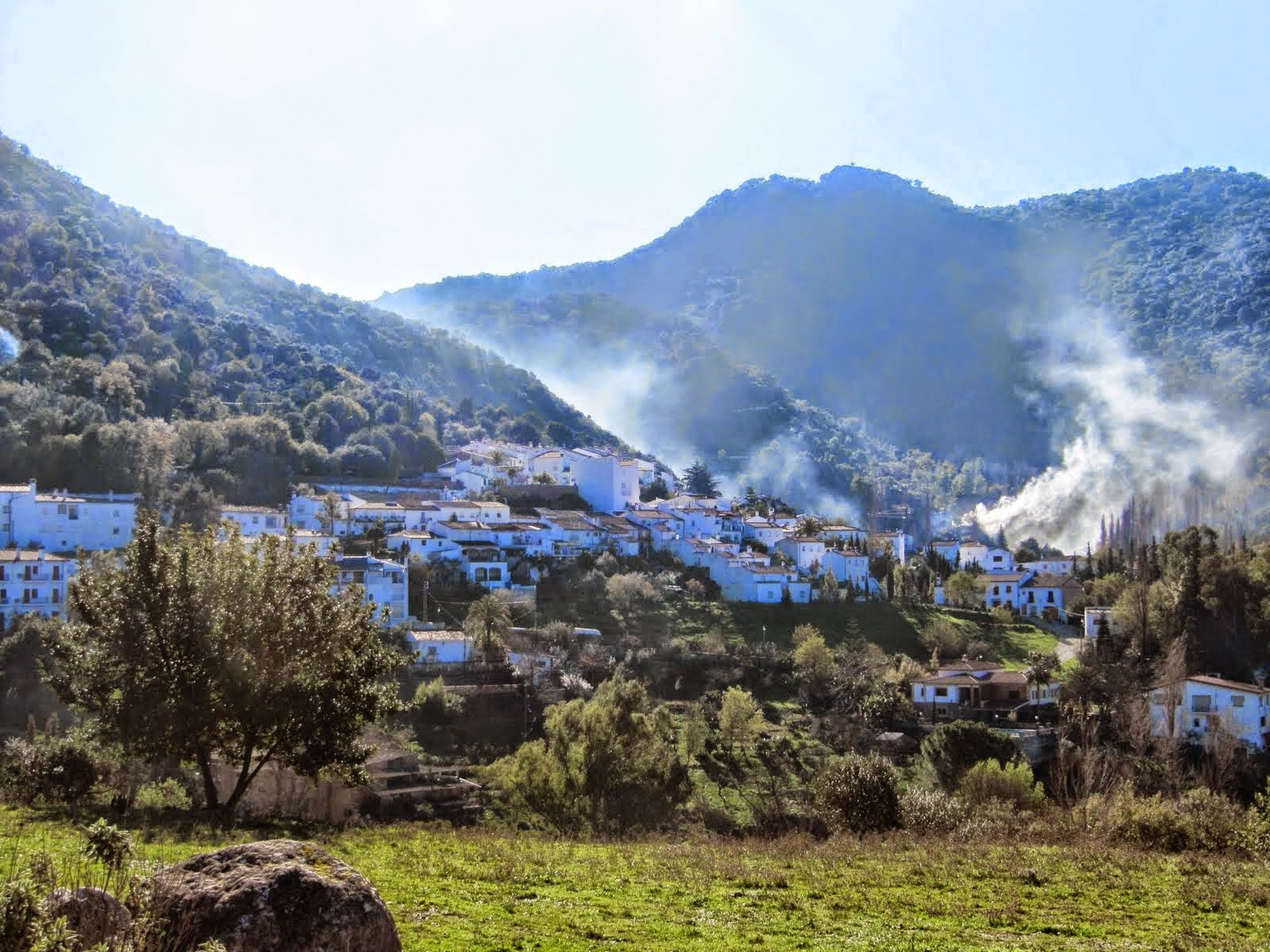 MOROS Y CRISTIANOS-BENAMAHOMA 2013