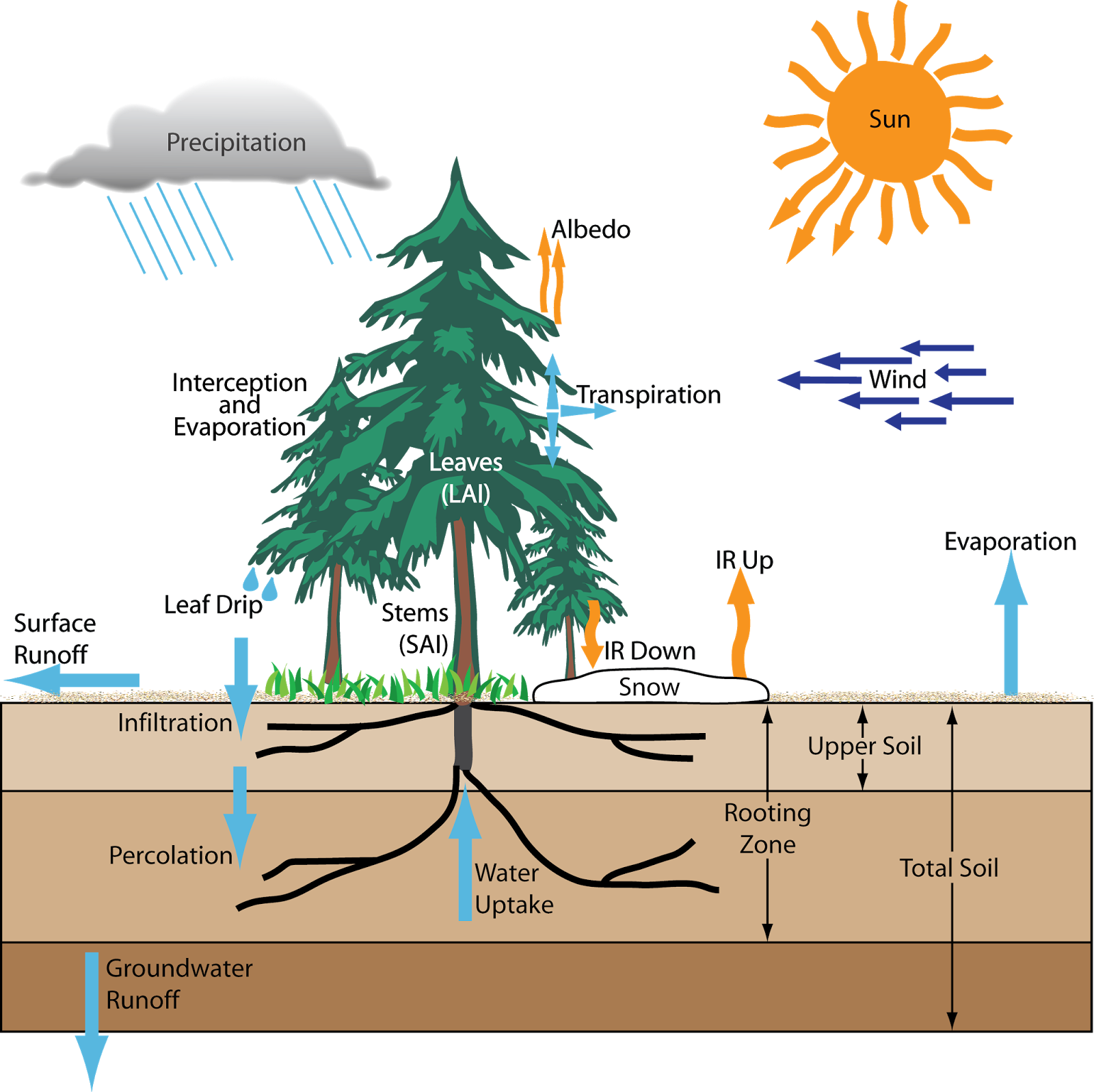 Water Matters São Paulo running out of water as rain