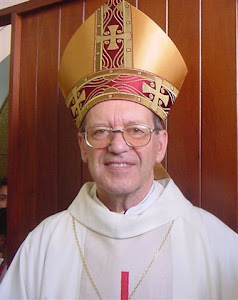 Bispo Diocesano de São João del Rei