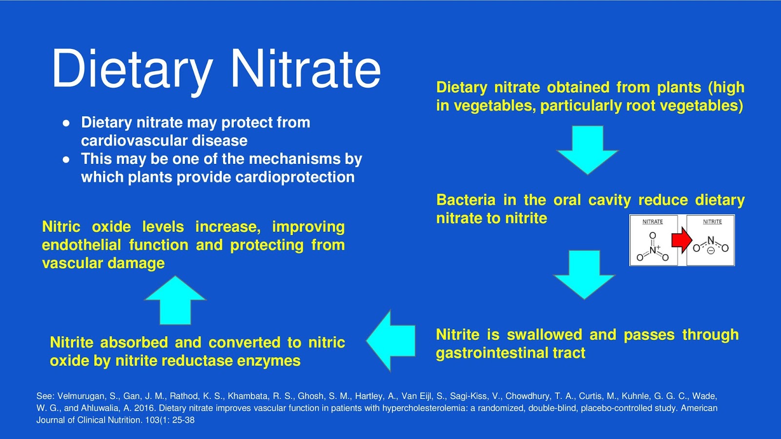 Dietary Nitrate