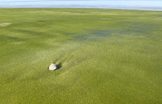 Pantai Dengan Pasir Paling Unik Di Dunia http://www.didunia.net/