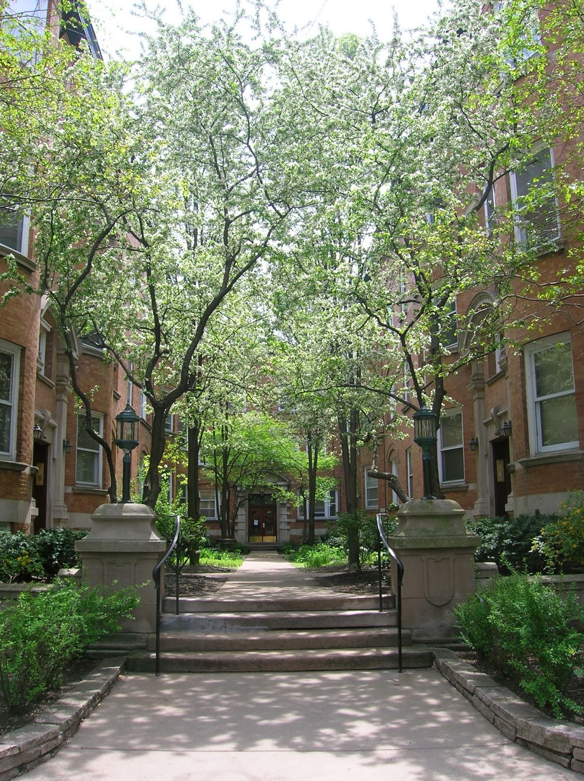 For Rent In Lakeview 627 W Barry For Rent In Lakeview 627 W Barry