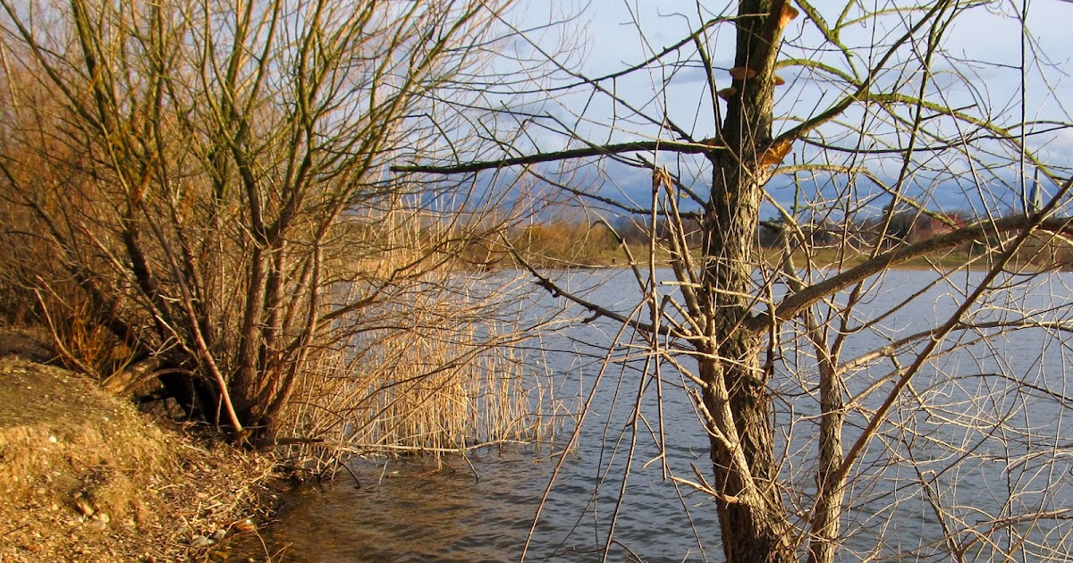 Draussen Kiesgrube Leuben