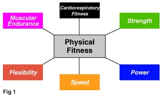 Born fitness : Primary and Secondary components of fitness