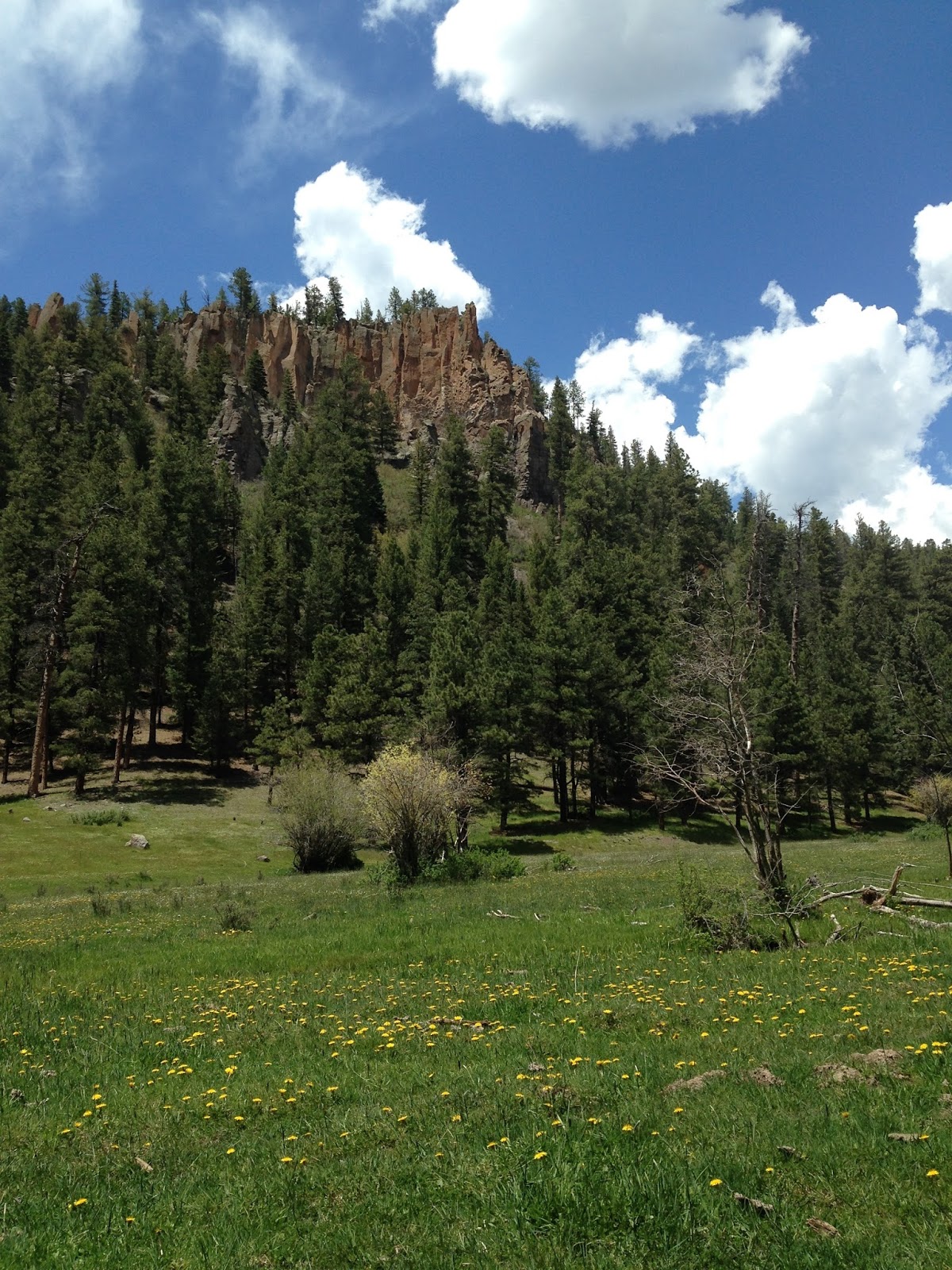 Southern New Mexico Explorer Rio Cebolla Santa Fe National Forest