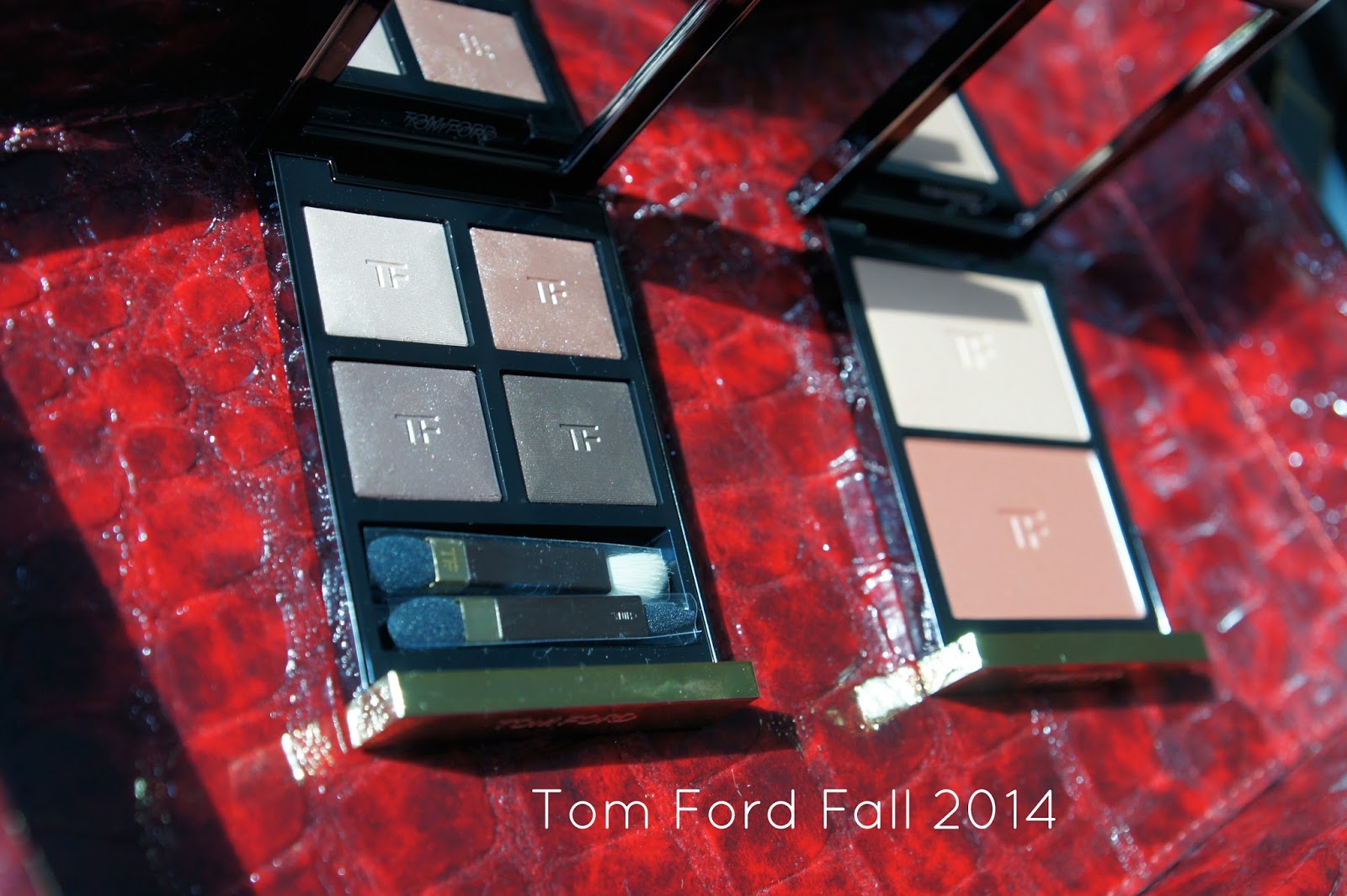 Tom Ford Fall 2014 Nude Dip