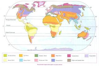 Dünyadaki İklim Çeşitleri Haritası