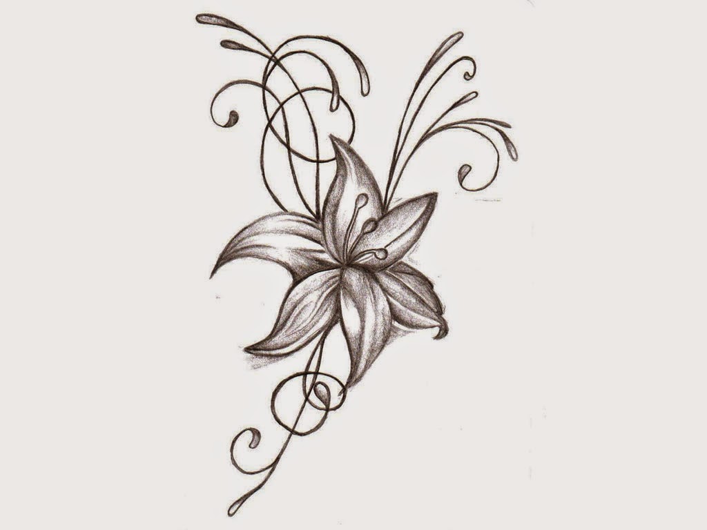 Flower Drawing - Structure Flower