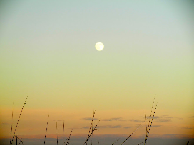 Moon over the Sea