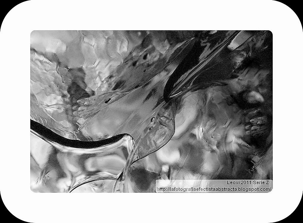 Foto Abstracta 3382 Pájaro libre - Free bird Foto Abstracta 3382 Pájaro libre - Free bird