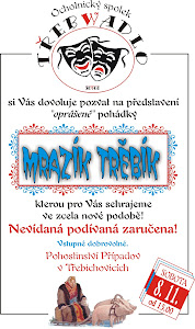 2008 - Mrazík Třebík
