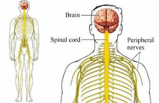 Nursing Interventions for Guillain-Barre Syndrome