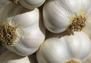 Khasiat Bawang Putih Untuk Kesehatan