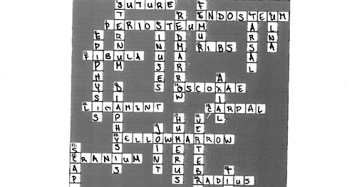 Unit 6 4 skeletal system assignment sheet 08 picture