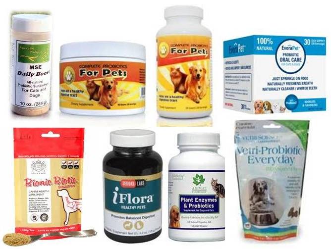 Ottawa Valley Dog Whisperer Probiotics for Dogs, Essential for