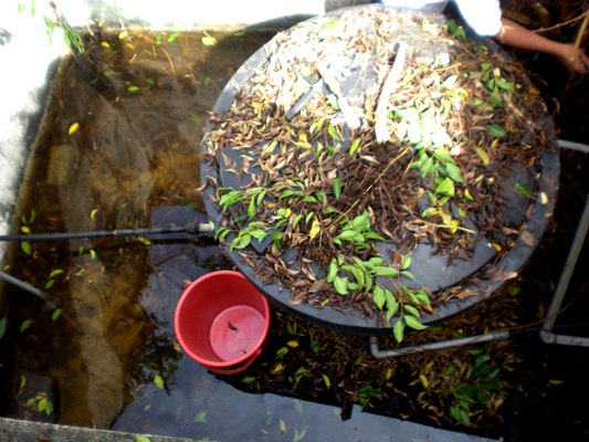 kejadian banjir