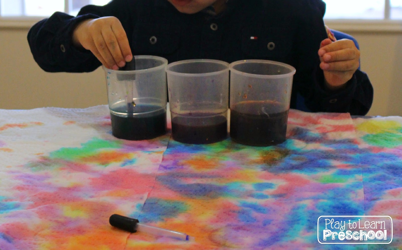Play to Learn Preschool Paper Towel Painting