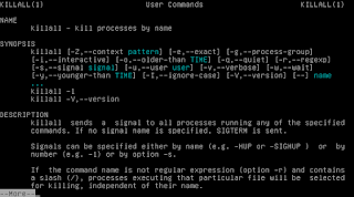 Creación, Monitoreo y Finalización de Procesos en Debian