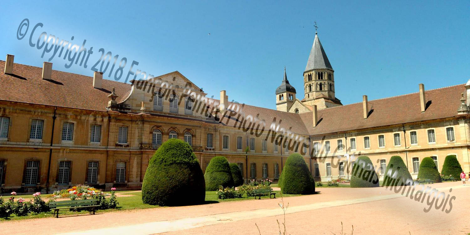 Abbaye de Cluny