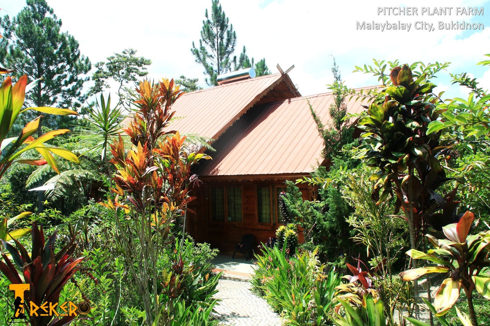 TREKERO PITCHER PLANT FARM A Relaxing Staycation in Malaybalay City