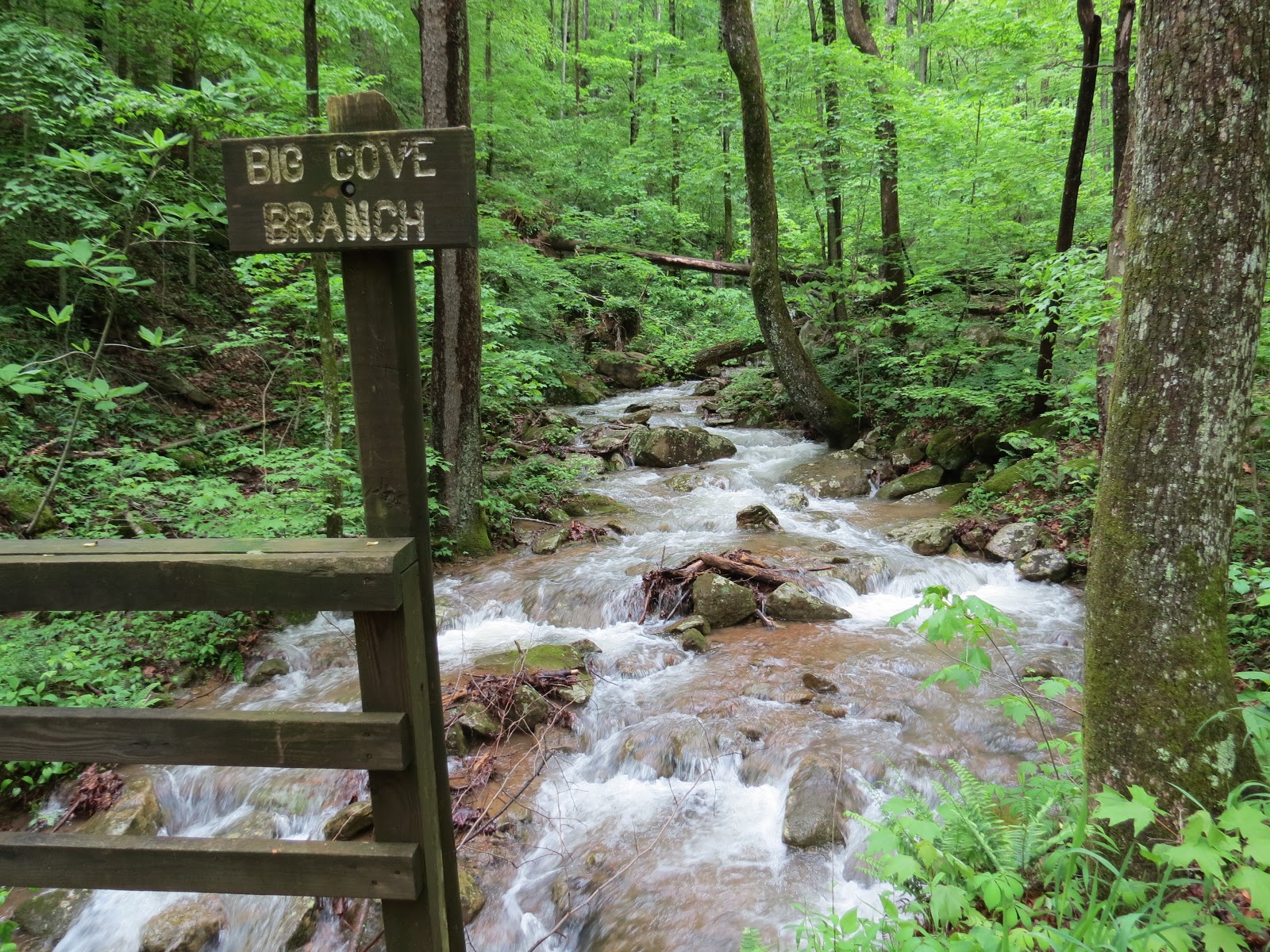 Where's Liz2013? Frozen Head State Park, TN
