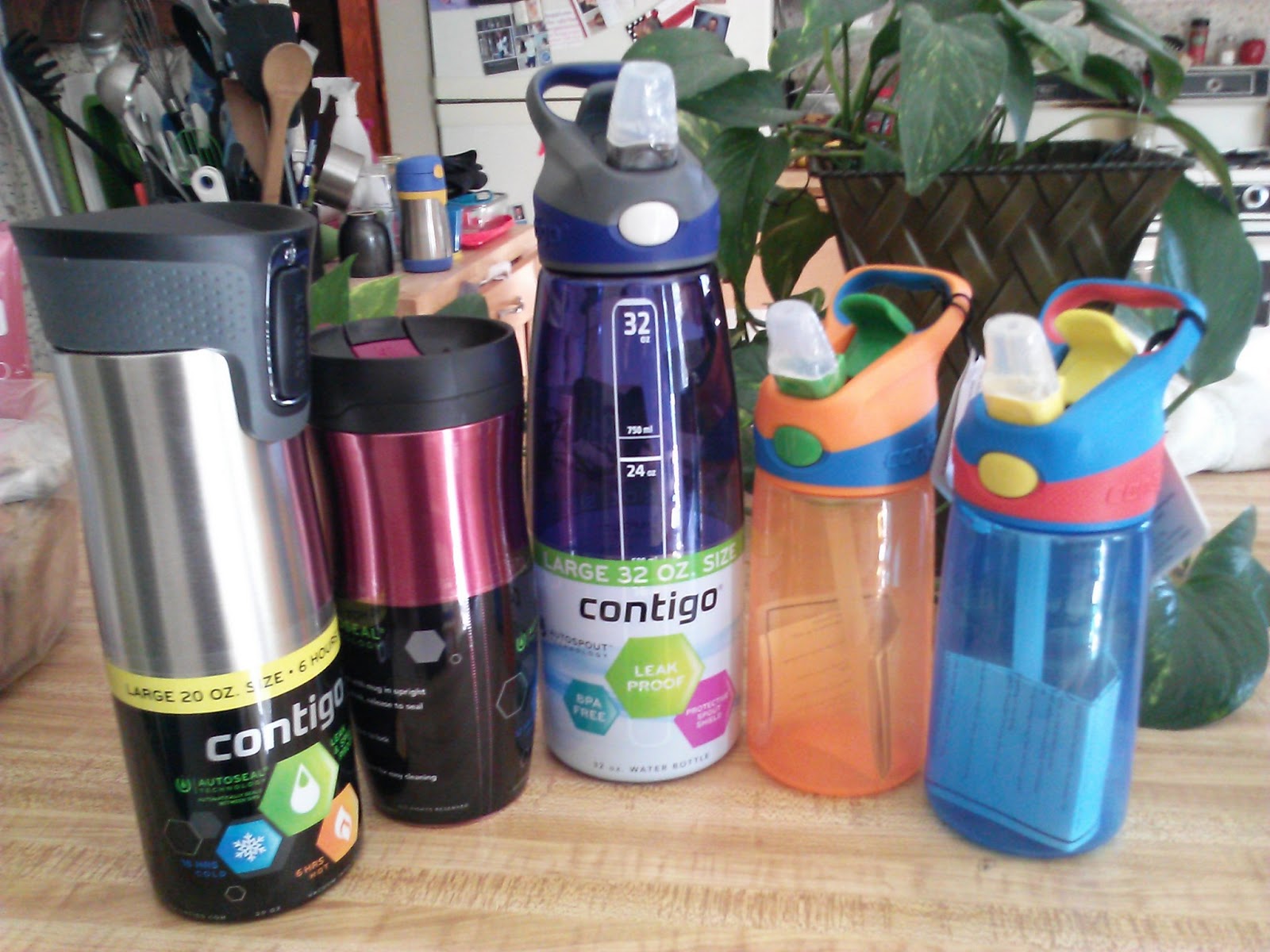 Stay Hydrated This Summer with Contigo! \u0026amp; Giveaway ~ The Review Stew