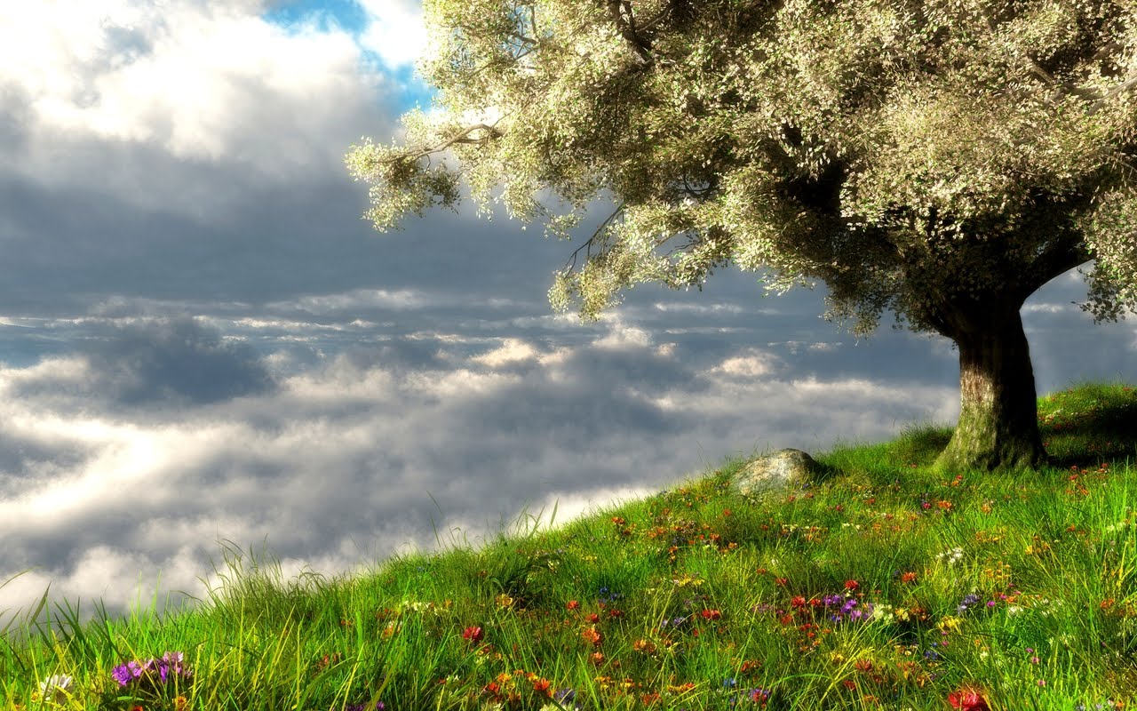 Fondos de Pantalla: Imágenes de Paisajes de Primavera