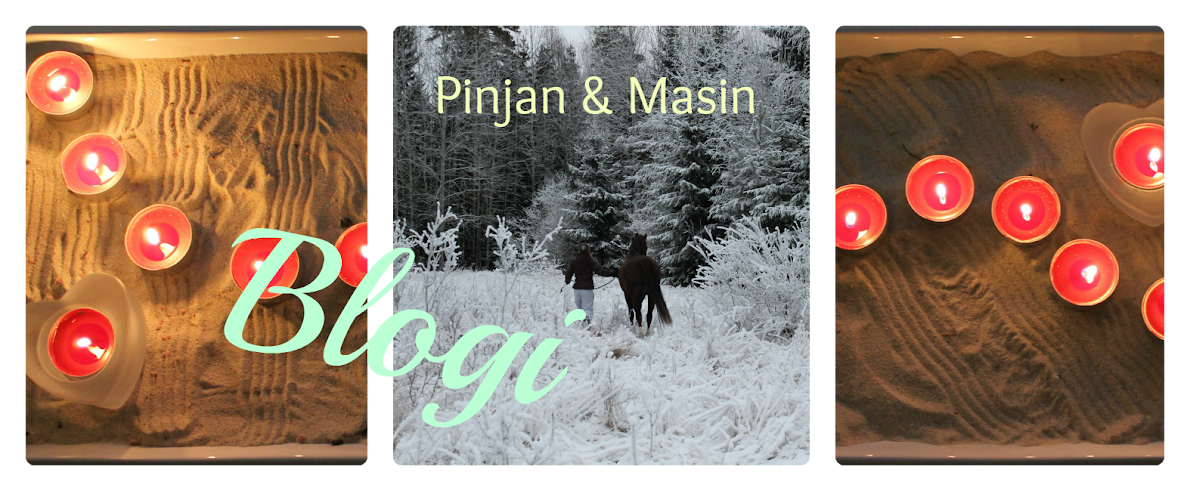 Pinjan ja Masin blogi ♥