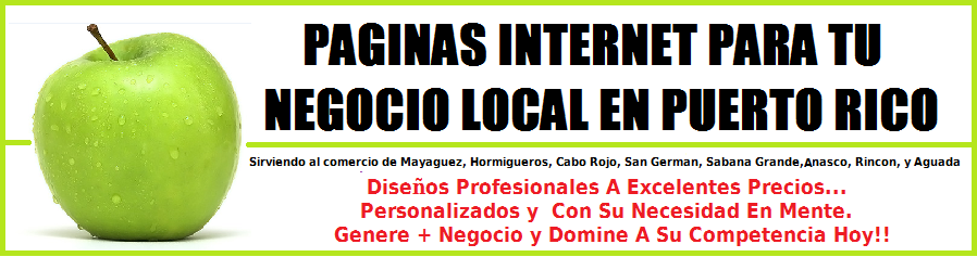 Paginas Internet Para Tu Negocio En Puerto Rico