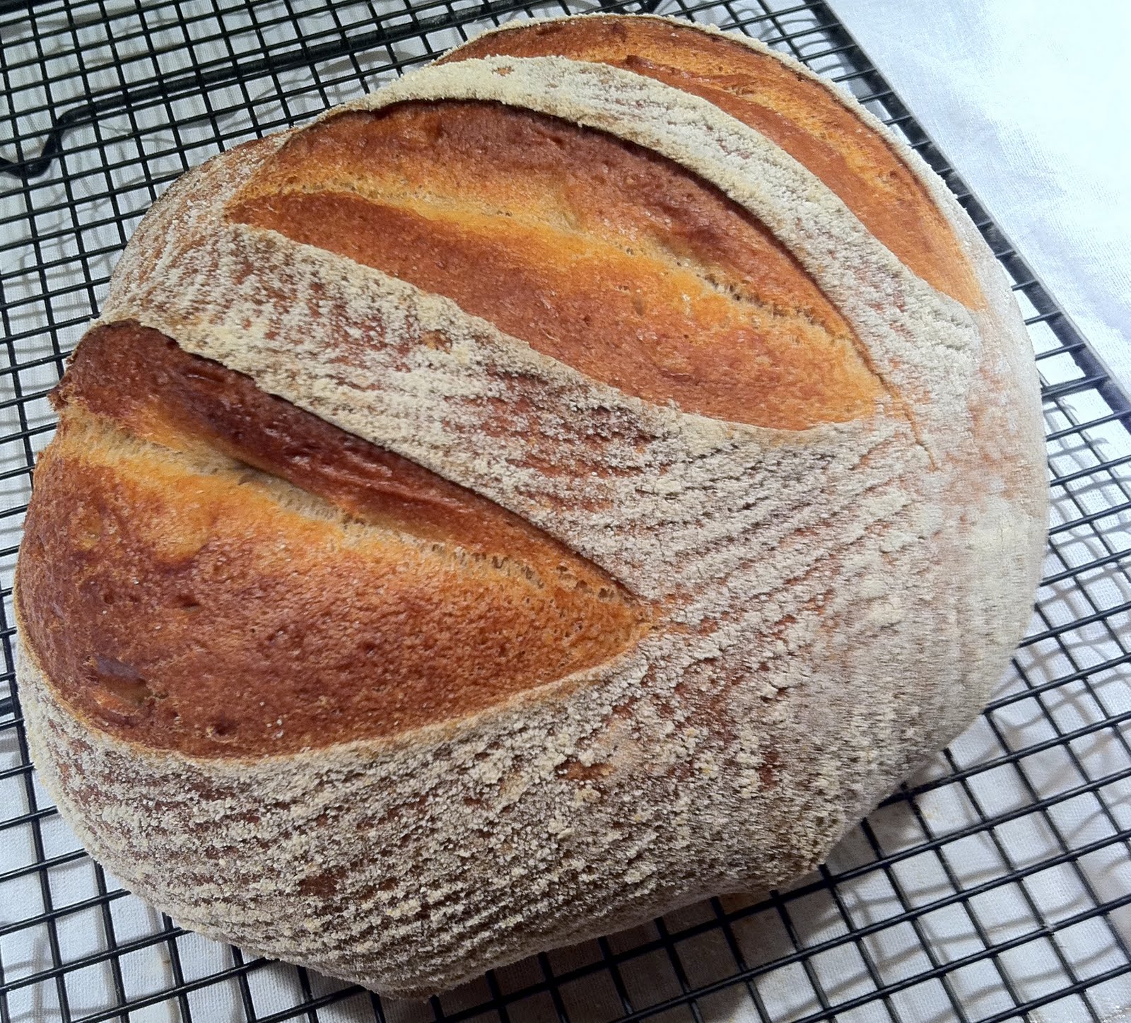 Whole Wheat Boule 2 The Fresh Loaf