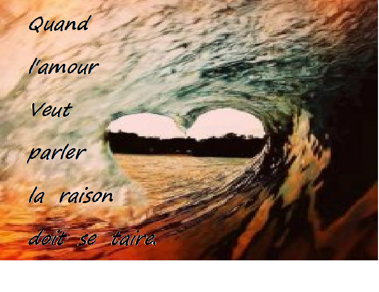 Belles Citations D Amour Courtes Anti Love Quotes