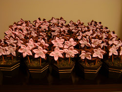 Vasinhos rosa com marrom