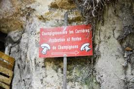 Manger local dans les Yvelines Chapignonnière Les Carrières
