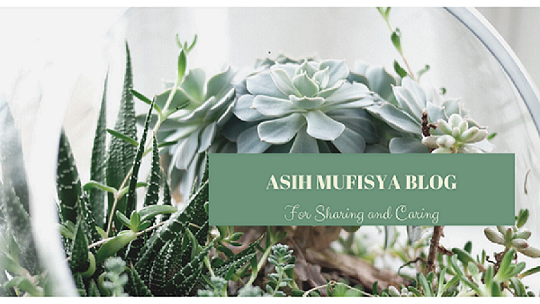 Asih Mufisya Blog