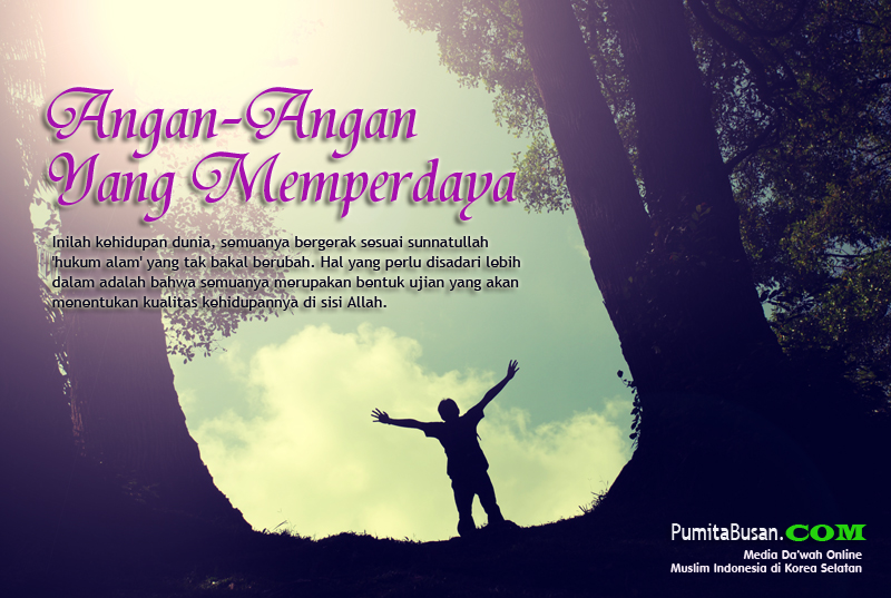 Pumita Busan: Angan-Angan Yang Memperdaya