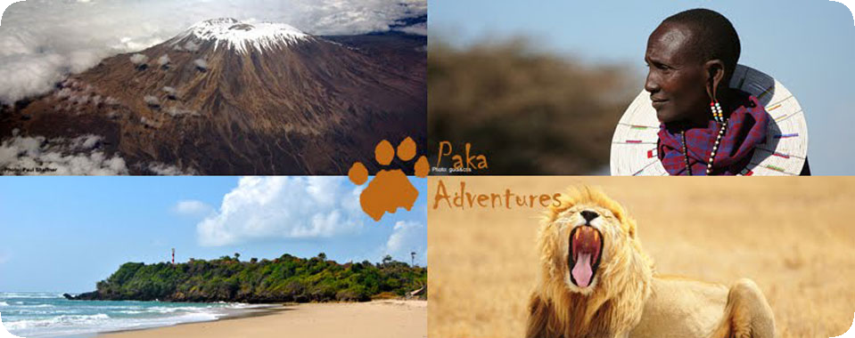 Paka Adventures - Vacanze e Safari in Tanzania