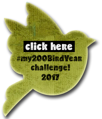 #My200BirdYear