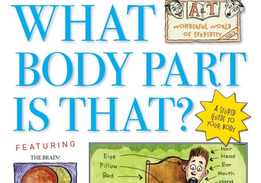 what part of the body
