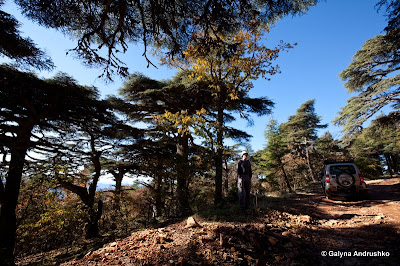 В Марокко через Европу на собственном авто