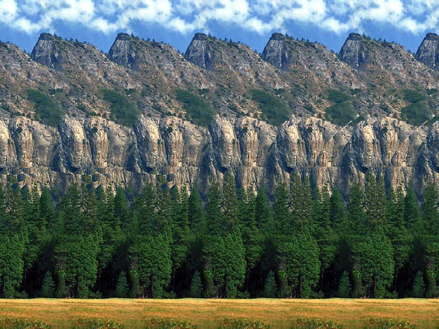 [Image: stereogram.jpg]