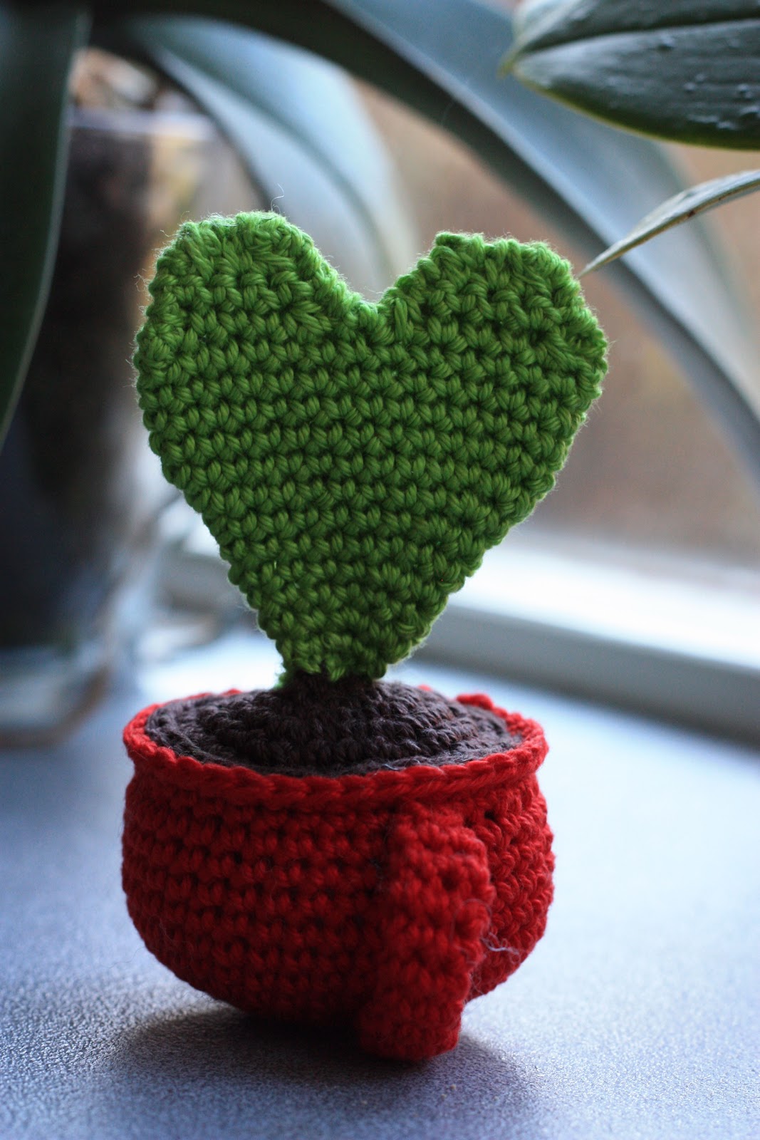 12 12 Walentynkowy Kaktus