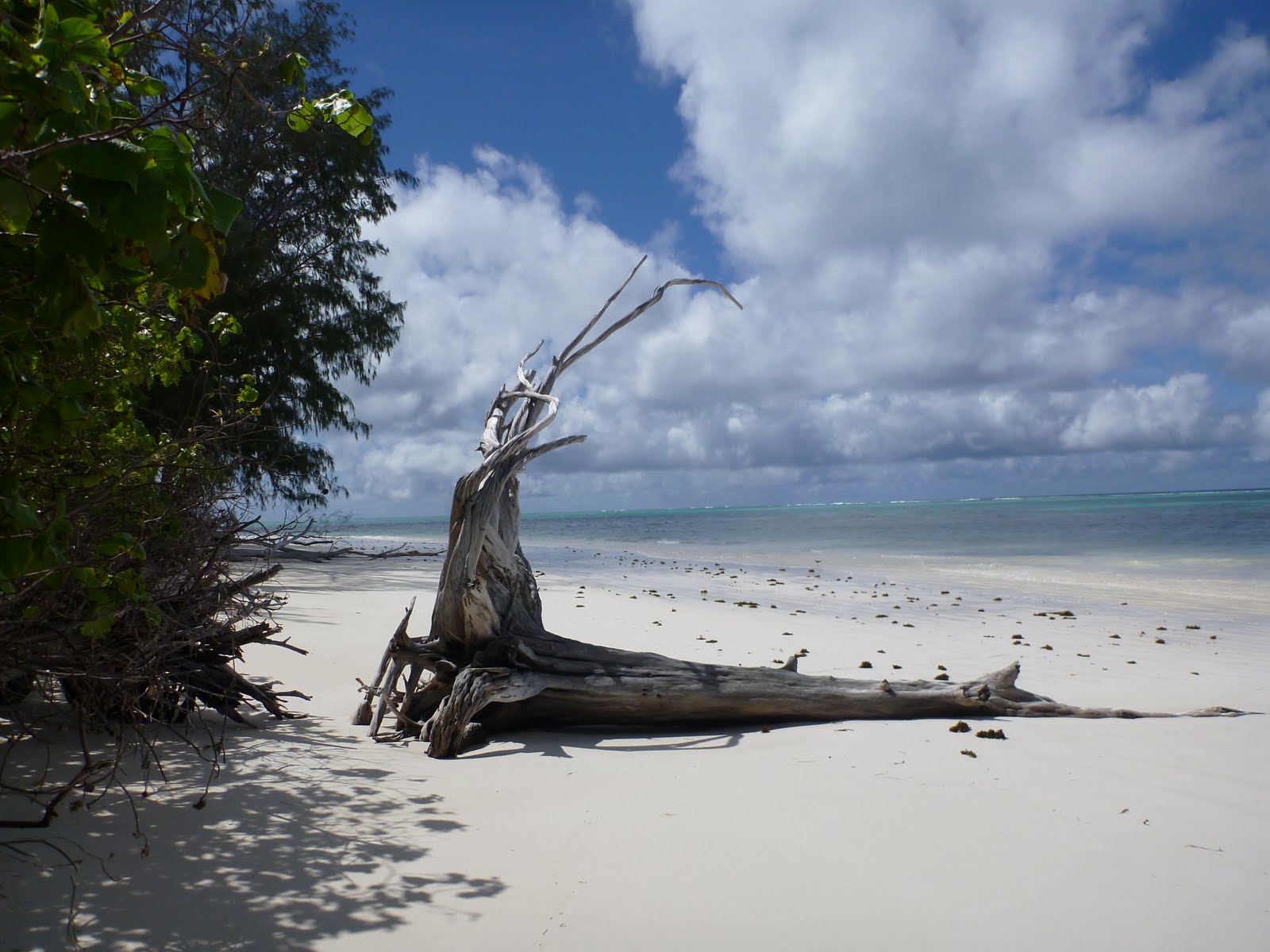 Jour 11 [Praslin] De Grand'Anse à Anse Volbert Plongée et farniente
