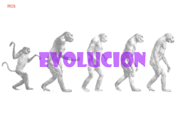 ¿evolucion?