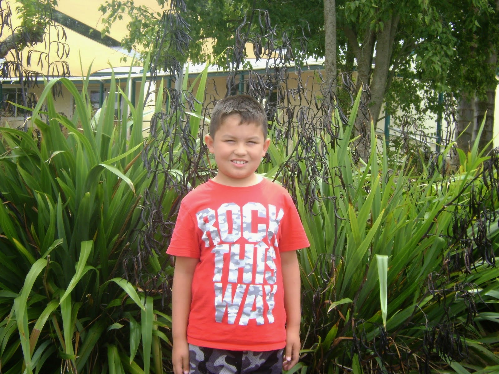 My Name is Aizen and I go to David Street School Morrinsville, New Zealand