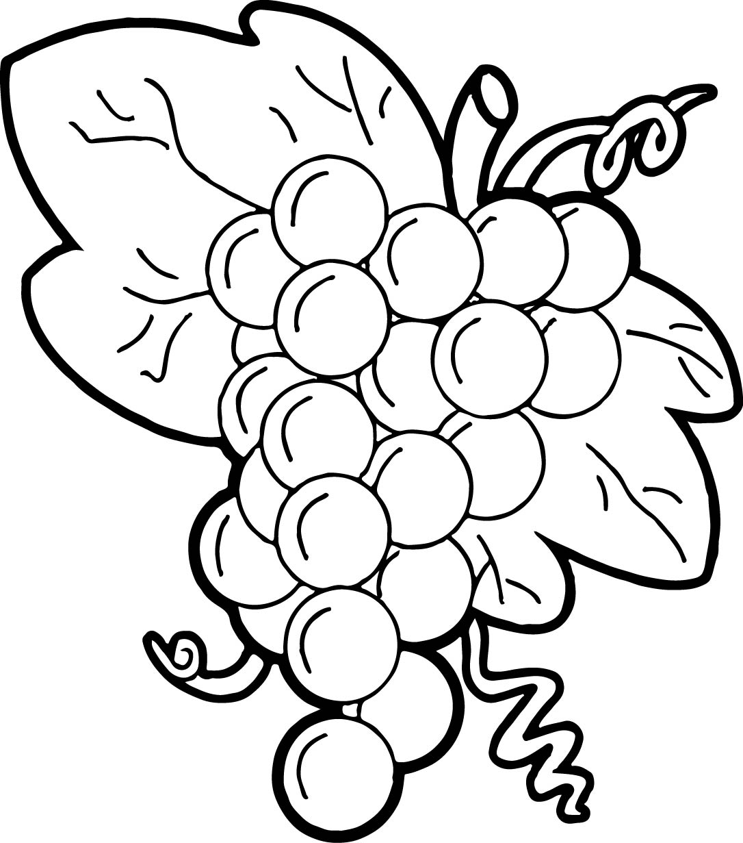 Featured image of post Desenho De Um Cacho De Uva Imprima o desenho de cacho de uvas para colorir e ensine as crian as como importante se alimentar bem