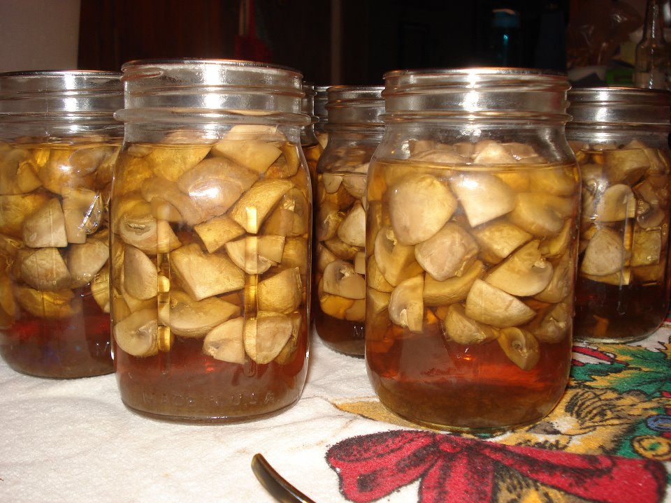 Canning Mushrooms Part 1 of 2 Pressure Canning Canning Homemade!